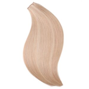 Premium Remy Genius Wefts For Utah Stylist Hair Education